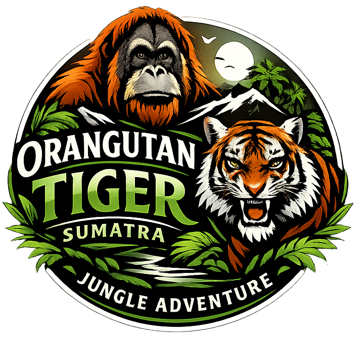 Orangutan Tiger Sumatra